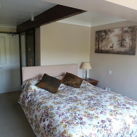 Cameley Lodge - Self Catering Temple Cloud エクステリア 写真