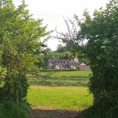 Cameley Lodge - Self Catering Temple Cloud エクステリア 写真