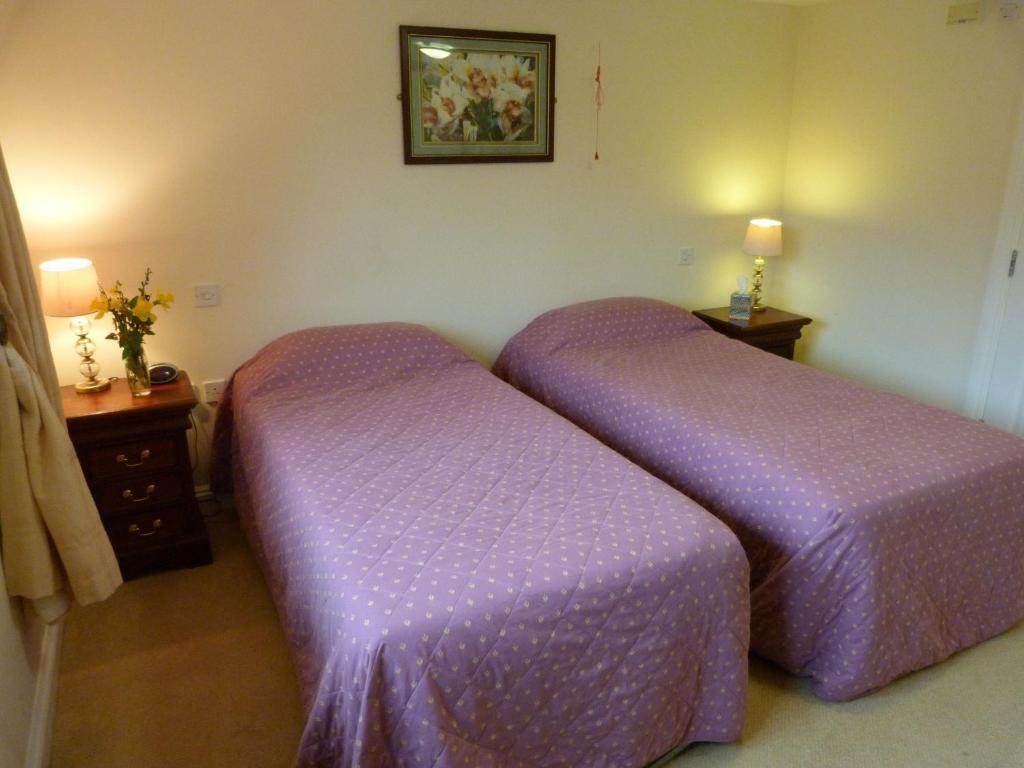 Cameley Lodge - Self Catering Temple Cloud 部屋 写真