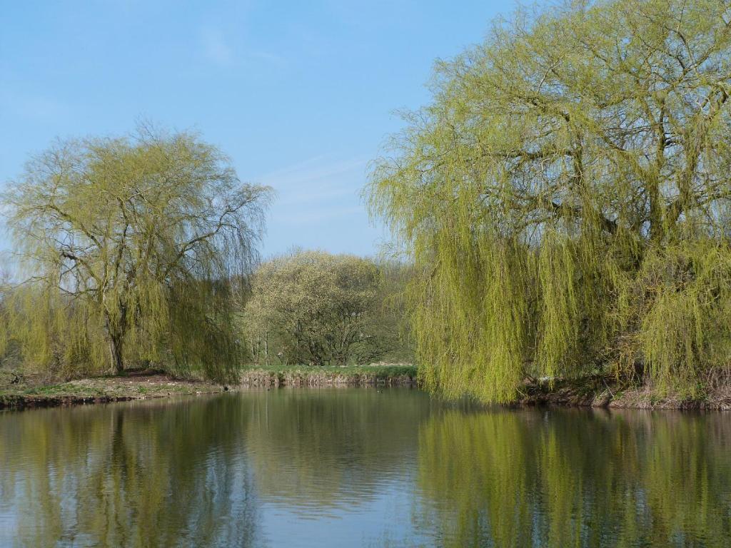Cameley Lodge - Self Catering Temple Cloud エクステリア 写真