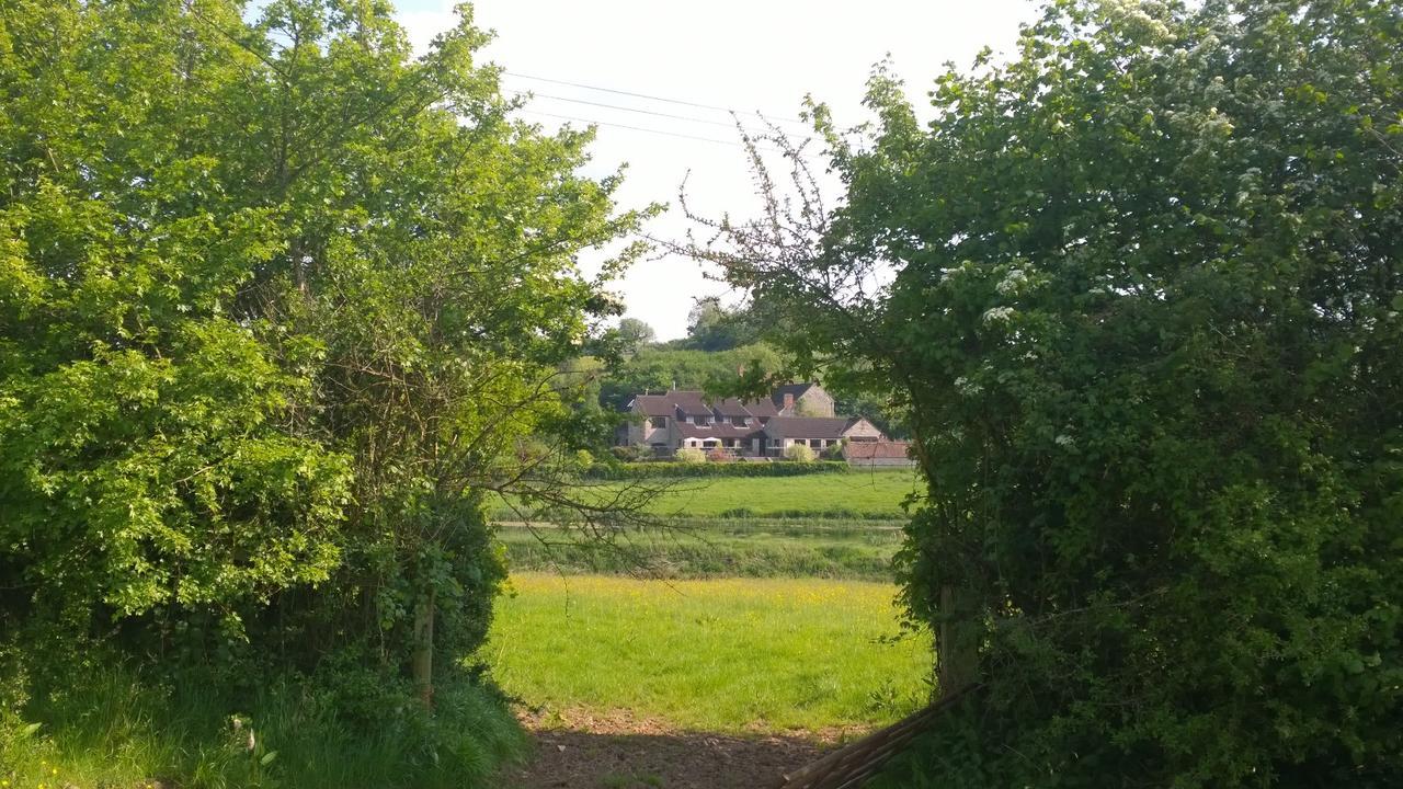 Cameley Lodge - Self Catering Temple Cloud エクステリア 写真